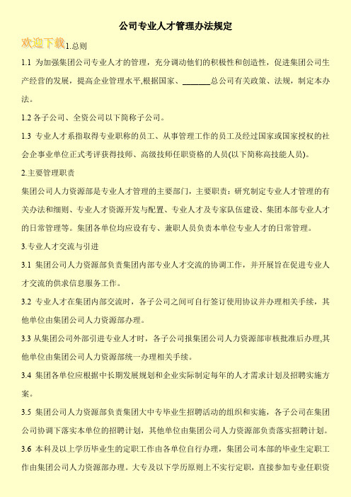 公司专业人才管理办法规定
