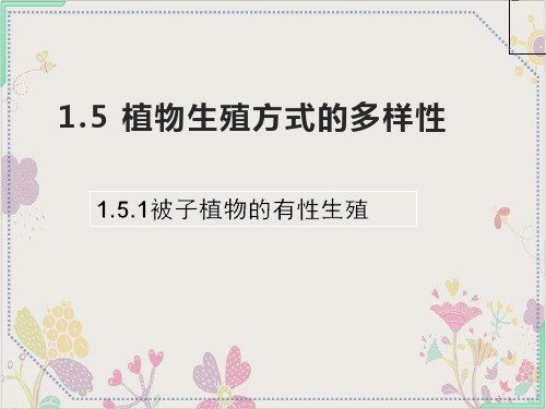 植物生殖方式的多样性ppt课件浙教版