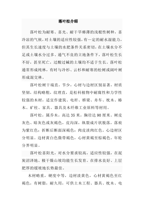 落叶松介绍
