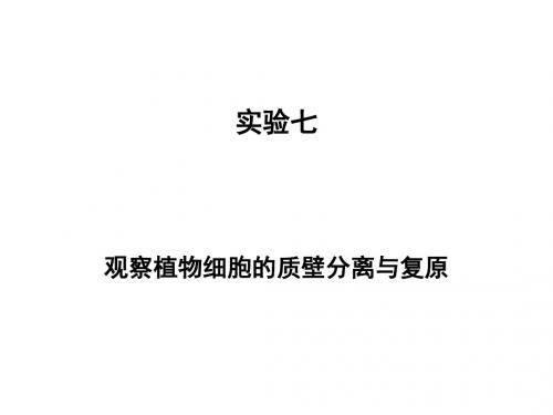 实验七观察植物细胞的质壁分离与复原