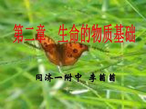 高中生物生物体中的无机化合物PPT1 沪科版