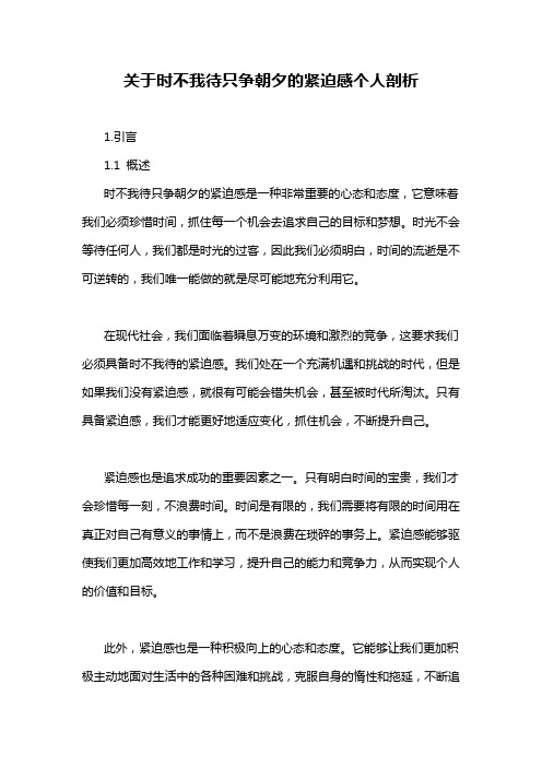 关于时不我待只争朝夕的紧迫感个人剖析