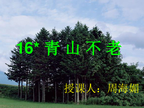 青山不老课件(公开课)ppt