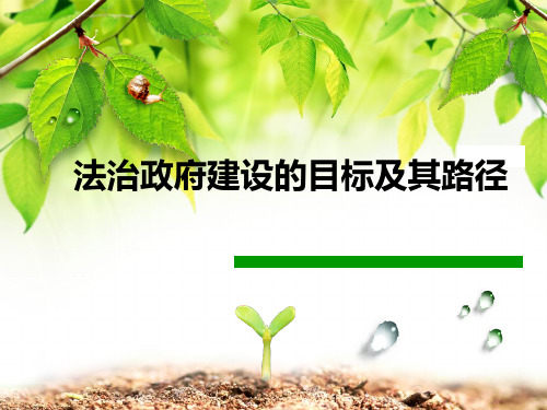 法治政府建设PPT课件