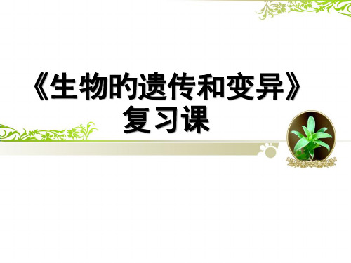 生物的遗传和变异复习市公开课获奖课件省名师示范课获奖课件