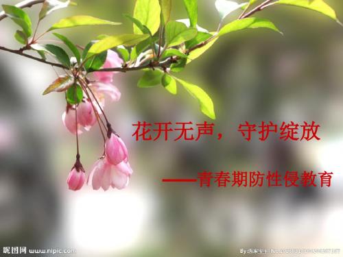 中学生预防性侵——花开无声守护绽放分解PPT课件