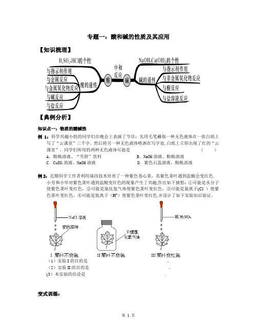 初中化学专题一：酸和碱的性质及其应用
