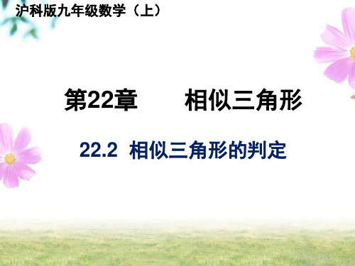 22、2相似三角形判定课件21-22学年沪科版九年级数学上册