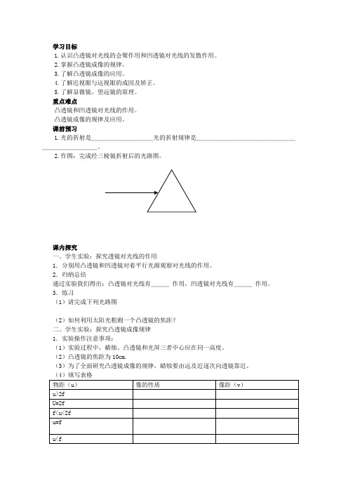 透镜及其应用复习学案教案