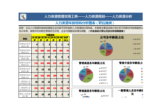 Excel模板-人力资源年龄结构分析(职位维度)