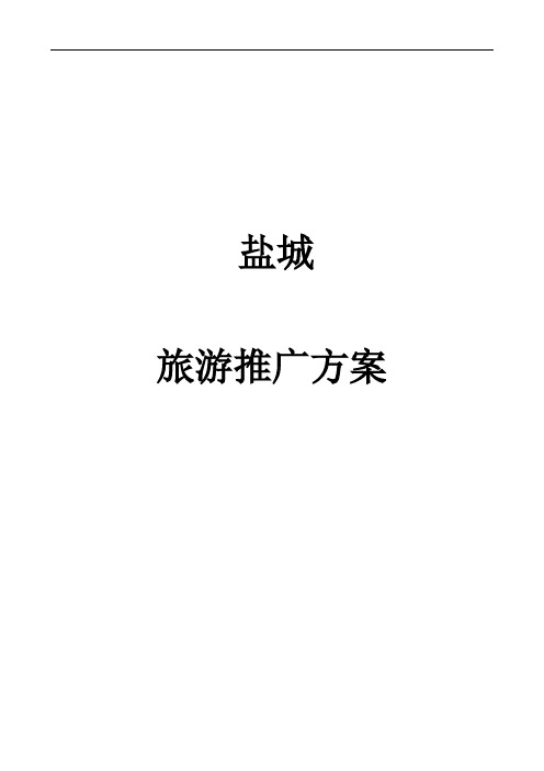 盐城旅游推广方案