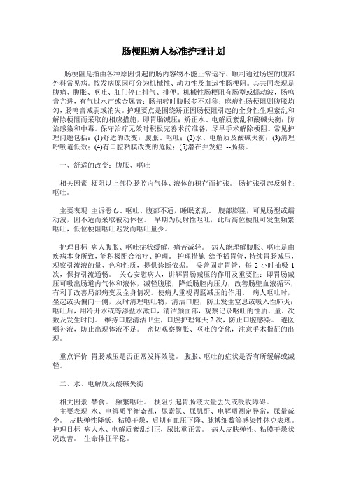肠梗阻病人标准护理计划