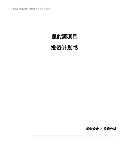 氢能源项目投资计划书 (1)