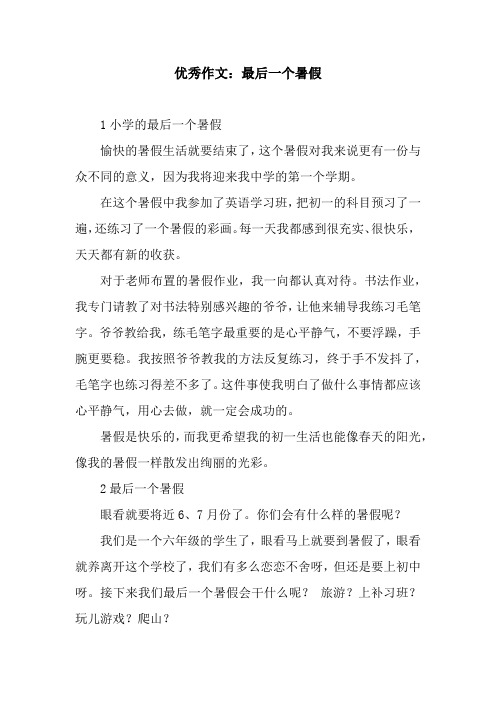 优秀作文：最后一个暑假