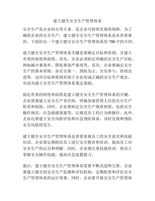 建立健全安全生产管理体系