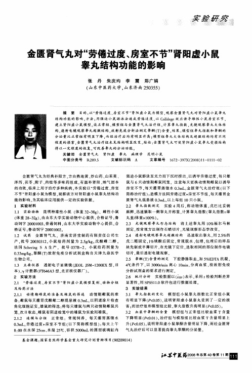 金匮肾气丸对“劳倦过度、房室不节”肾阳虚小鼠睾丸结构功能的影响