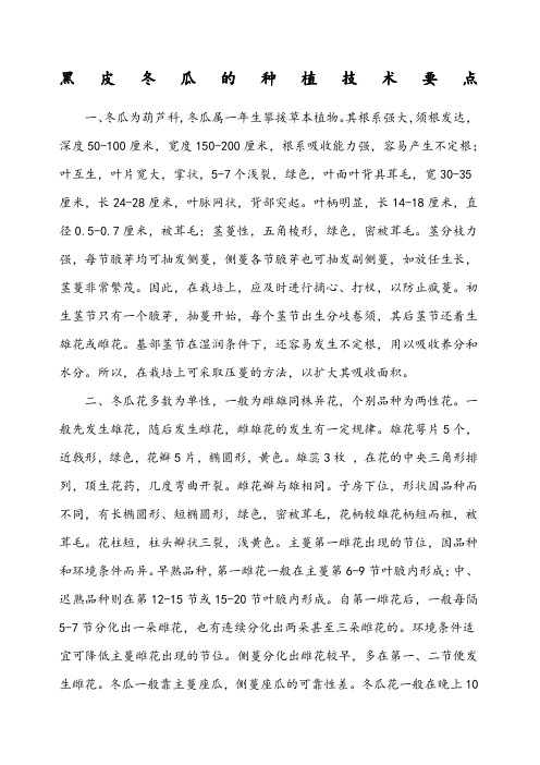黑皮冬瓜的种植技术要点
