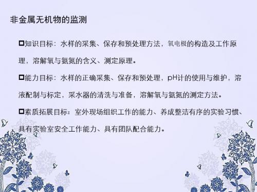 非金属无机物的监测PPT课件