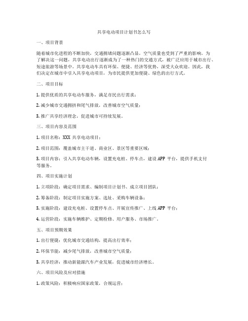 共享电动项目计划书怎么写