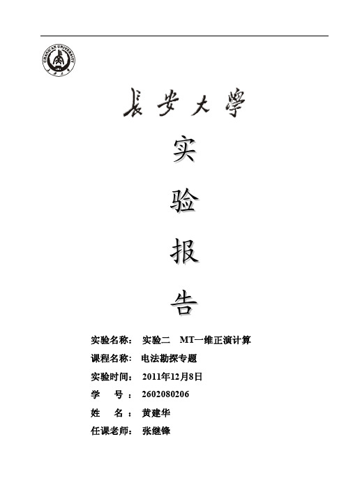MT大地电磁一维正演计算