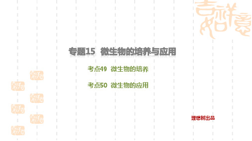 高考生物专题复习课件(15)微生物的培养与应用(共28张PPT)