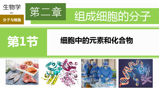 2.1细胞中的元素和化合物
