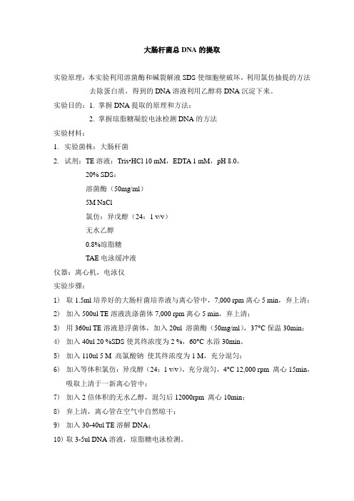 实验一大肠杆菌DNA的提取