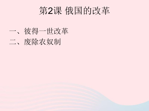 九年级历史下册第一单元殖民地人民的反抗与资本主义制度的扩展第2课俄国的改革课件2新人教