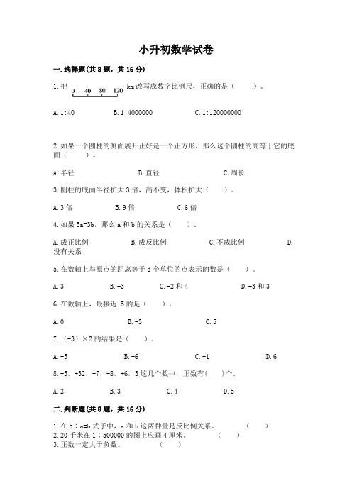 小升初数学试卷附参考答案(综合卷)