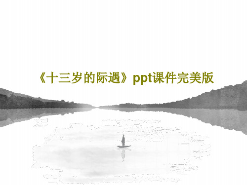 《十三岁的际遇》ppt课件完美版25页PPT