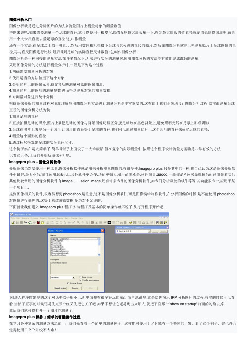 IPP教程.doc