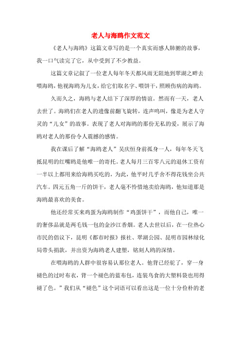 老人与海鸥作文范文