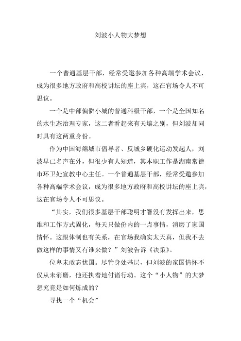 刘波小人物大梦想