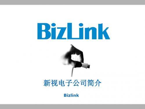 公司简介格式