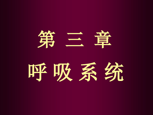 系统解剖学-呼吸系统