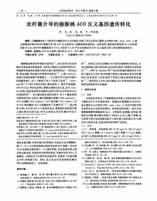 农杆菌介导的猕猴桃ACO反义基因遗传转化