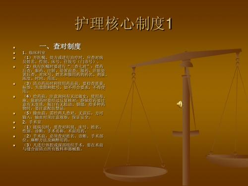 护理核心制度