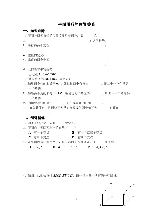 平面图形的位置关系(讲义及作业)含答案