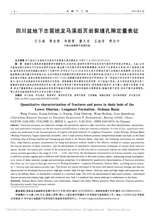 四川盆地下志留统龙马溪组页岩裂缝孔隙定量表征