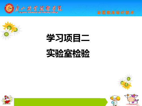 动物采血技术及血液常规检验