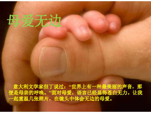 《母亲的恩情》完整版