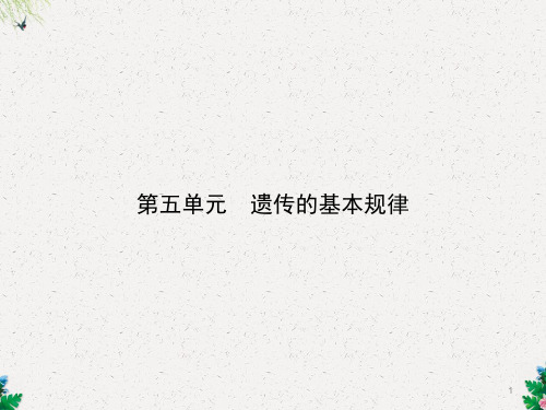 高考生物一轮课件：专题11-基因的分离定律(共167张PPT)