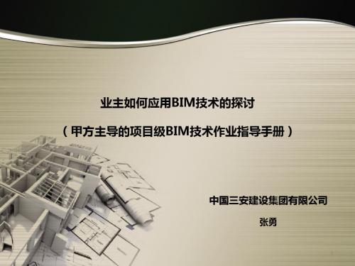 甲方主导的项目级BIM技术作业指导手册