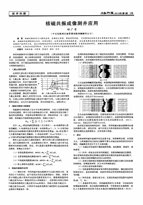 核磁共振成像测井应用