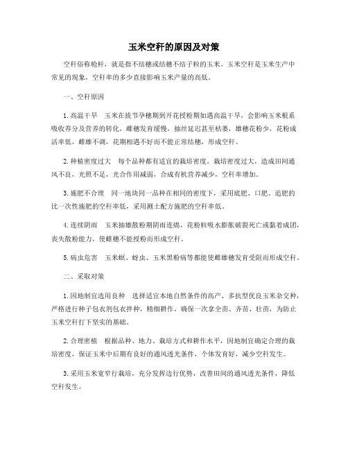 玉米空秆的原因及对策