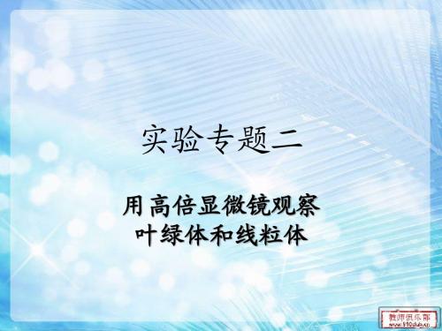 【原创】实验-用高倍显微镜观察叶绿体和线粒体