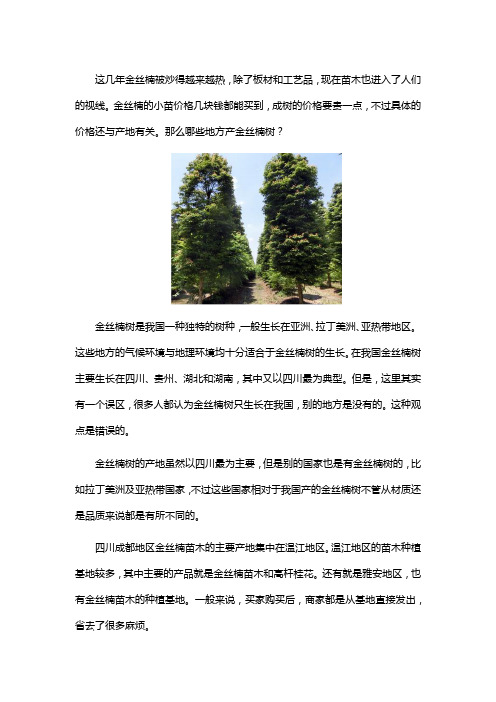 金丝楠树产地在哪里