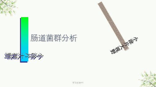 肠道菌群粪便涂片课件