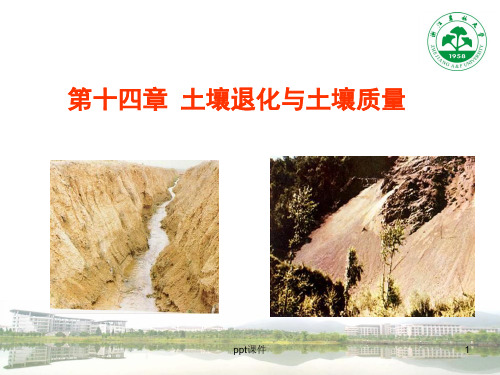 土壤退化类型与防治  ppt课件