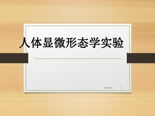 人类染色体非显带核型分析-文档资料